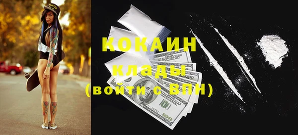 гашик Алексин