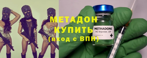 гашик Алексин