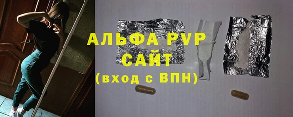 гашик Алексин