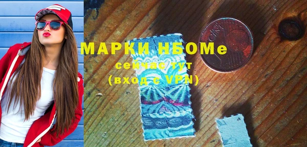 гашик Алексин
