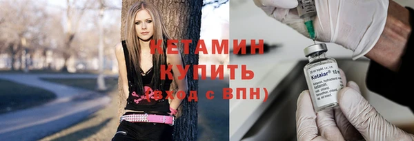 гашик Алексин
