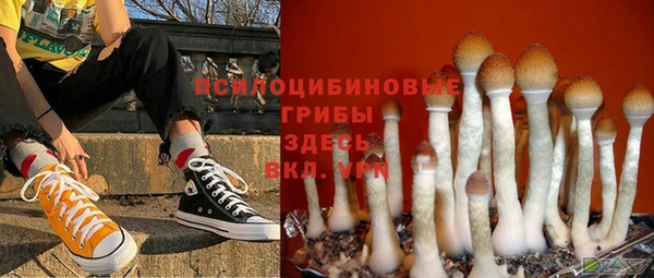 гашик Алексин