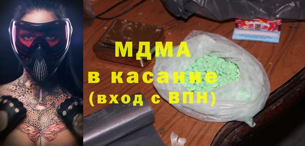 гашик Алексин